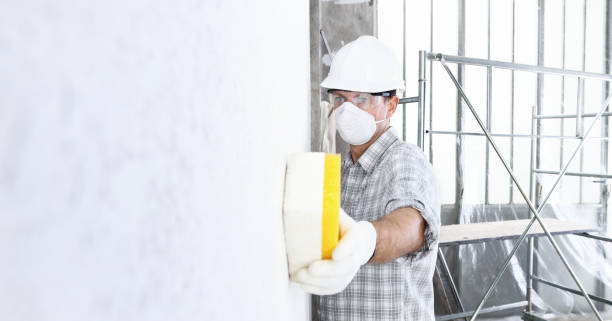 Why You Should Choose Our Mold Remediation Services in Haskell, TX